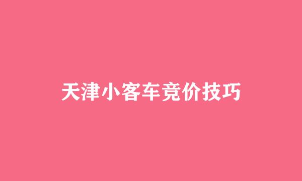天津小客车竞价技巧