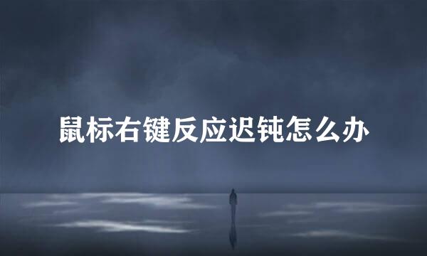 鼠标右键反应迟钝怎么办