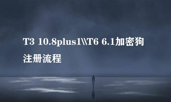 T3 10.8plus1\\T6 6.1加密狗注册流程