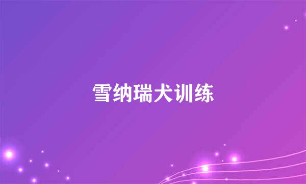 雪纳瑞犬训练