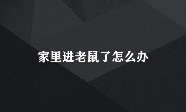 家里进老鼠了怎么办