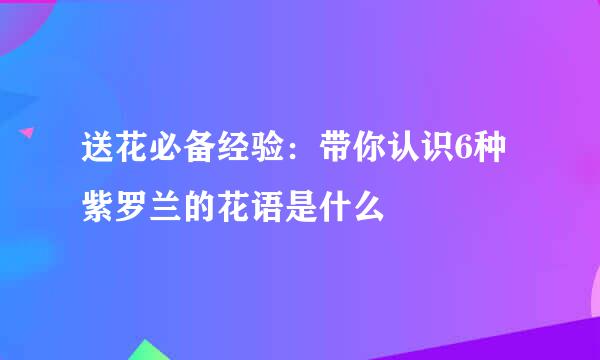 送花必备经验：带你认识6种紫罗兰的花语是什么