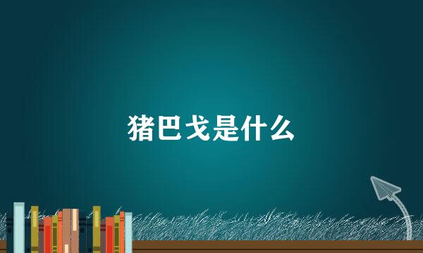 猪巴戈是什么