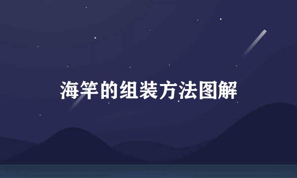 海竿的组装方法图解