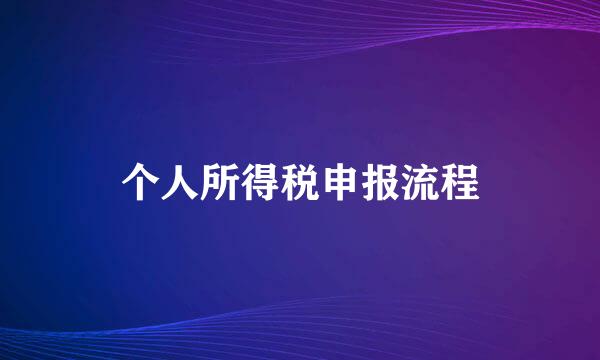 个人所得税申报流程