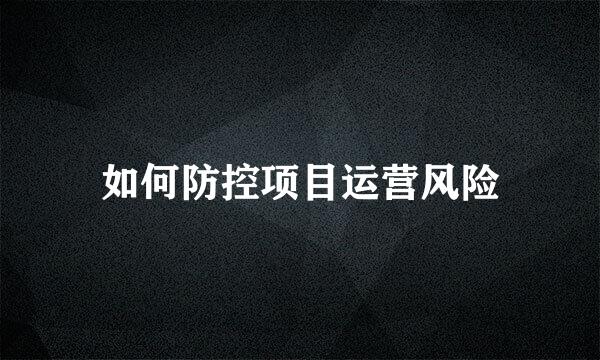 如何防控项目运营风险