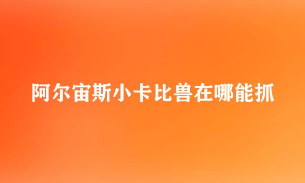 阿尔宙斯小卡比兽在哪能抓