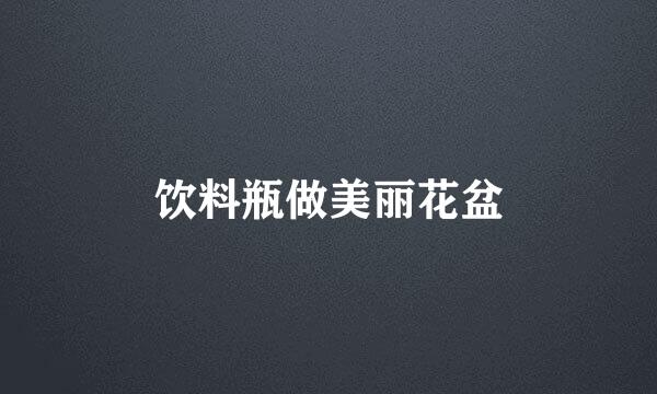 饮料瓶做美丽花盆