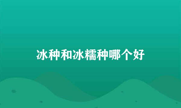 冰种和冰糯种哪个好