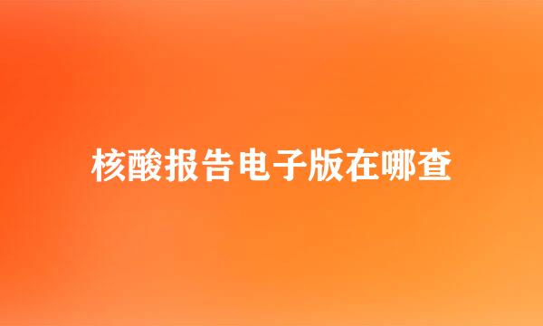 核酸报告电子版在哪查