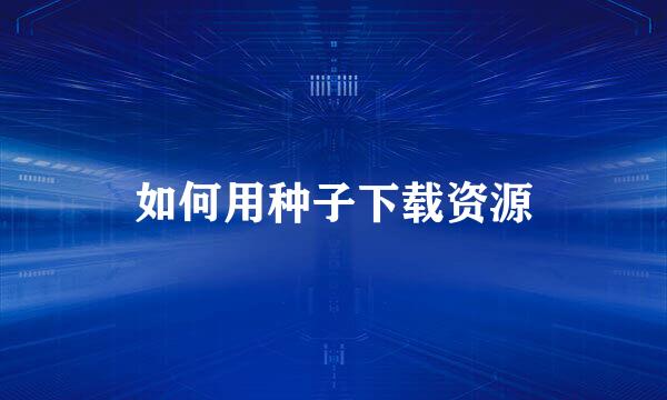 如何用种子下载资源