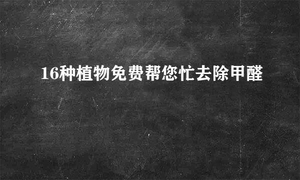 16种植物免费帮您忙去除甲醛