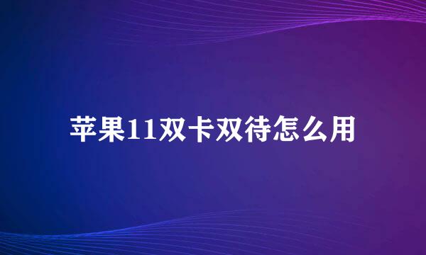 苹果11双卡双待怎么用