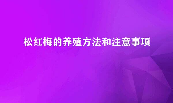 松红梅的养殖方法和注意事项