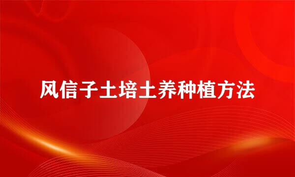 风信子土培土养种植方法