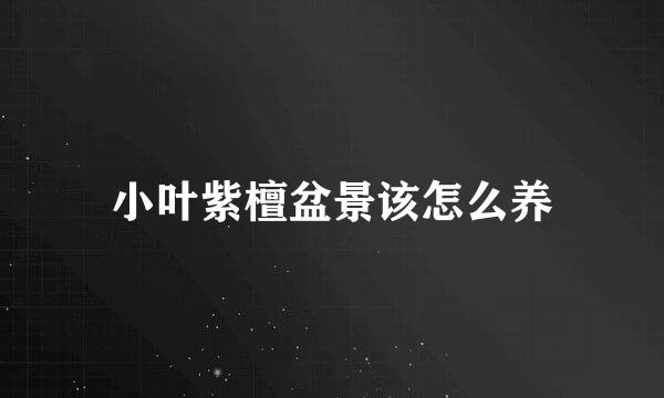 小叶紫檀盆景该怎么养