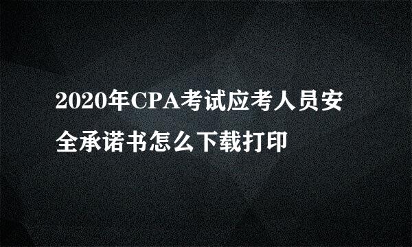 2020年CPA考试应考人员安全承诺书怎么下载打印