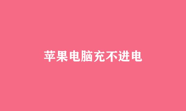 苹果电脑充不进电
