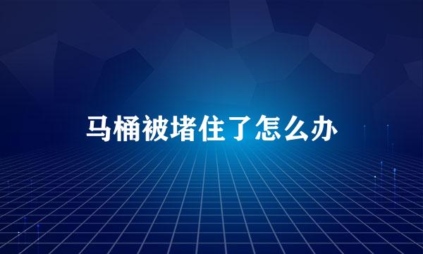 马桶被堵住了怎么办