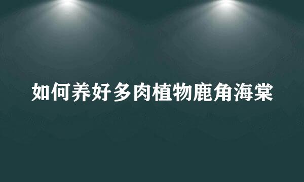 如何养好多肉植物鹿角海棠