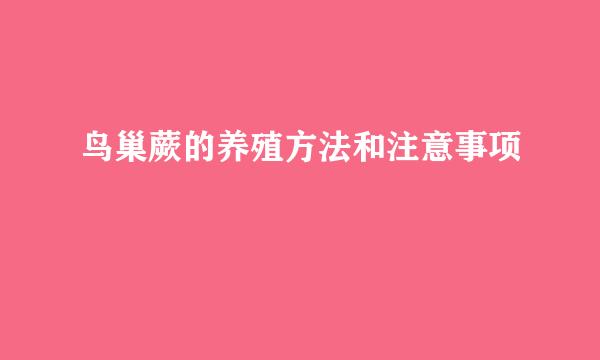 鸟巢蕨的养殖方法和注意事项