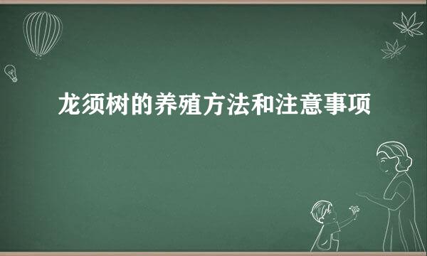 龙须树的养殖方法和注意事项