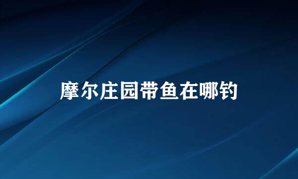 摩尔庄园带鱼在哪钓