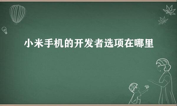 小米手机的开发者选项在哪里