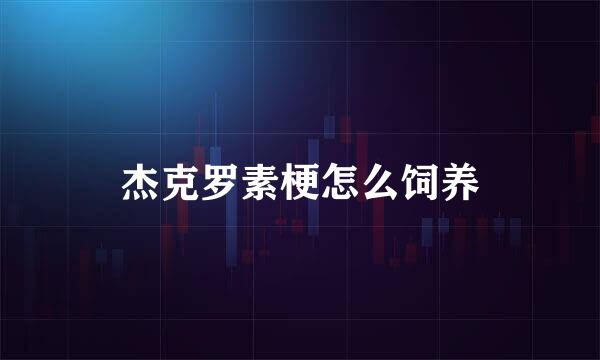 杰克罗素梗怎么饲养