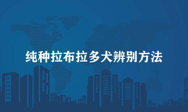 纯种拉布拉多犬辨别方法