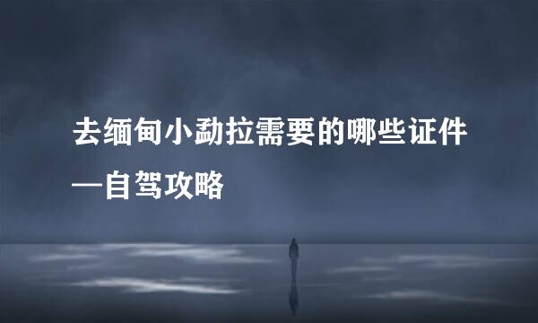 去缅甸小勐拉需要的哪些证件—自驾攻略