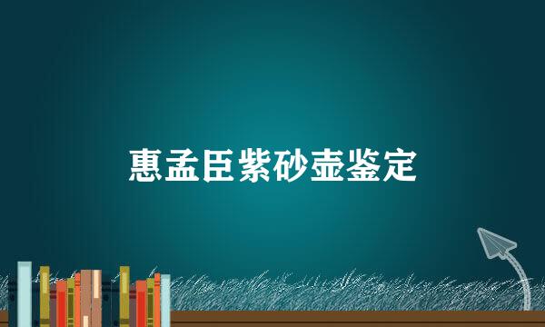 惠孟臣紫砂壶鉴定