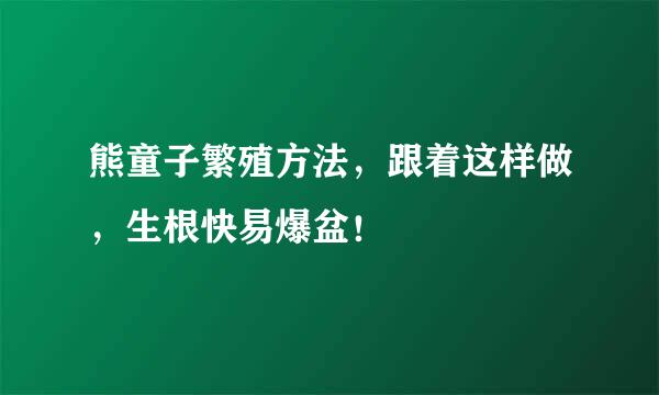 熊童子繁殖方法，跟着这样做，生根快易爆盆！