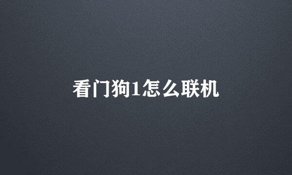看门狗1怎么联机