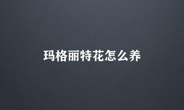 玛格丽特花怎么养