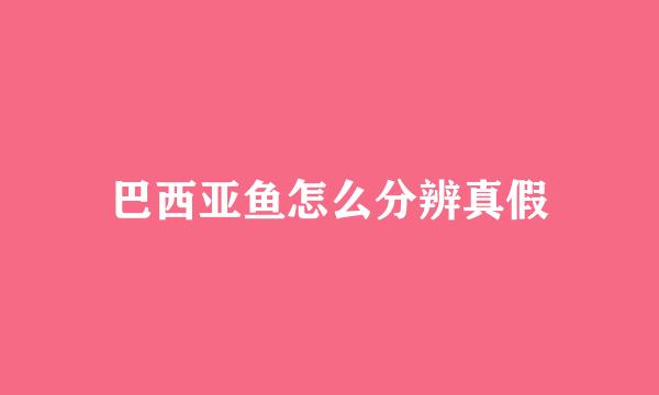 巴西亚鱼怎么分辨真假
