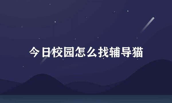 今日校园怎么找辅导猫