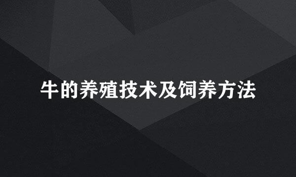 牛的养殖技术及饲养方法