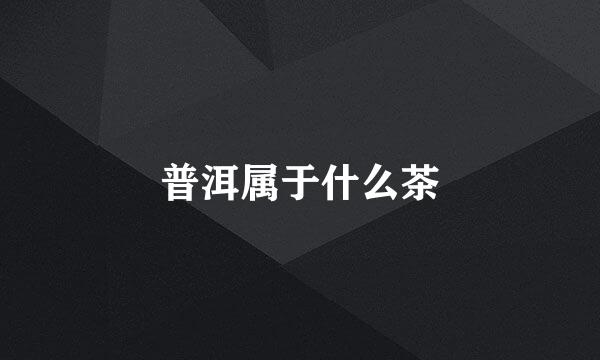 普洱属于什么茶