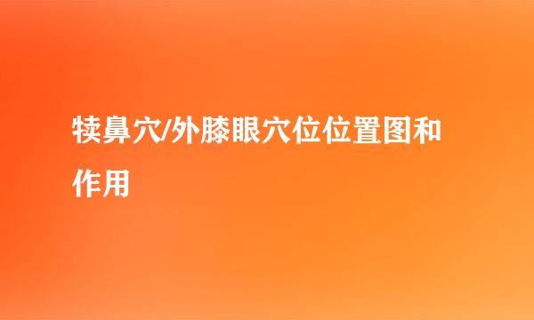 犊鼻穴/外膝眼穴位位置图和作用