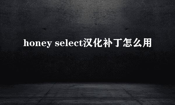honey select汉化补丁怎么用