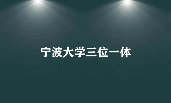 宁波大学三位一体