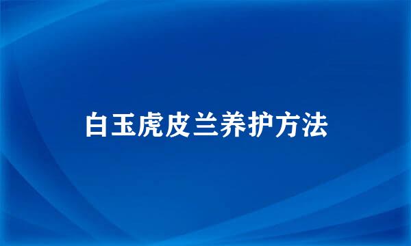 白玉虎皮兰养护方法