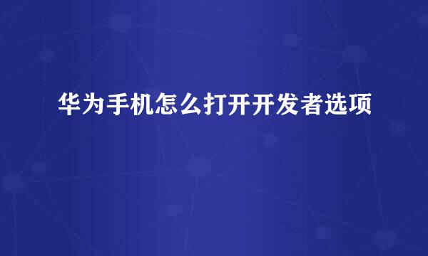 华为手机怎么打开开发者选项