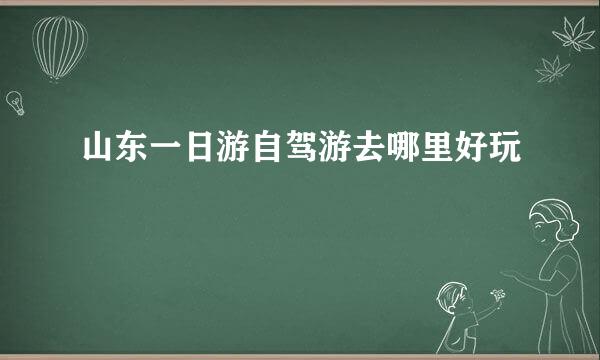 山东一日游自驾游去哪里好玩