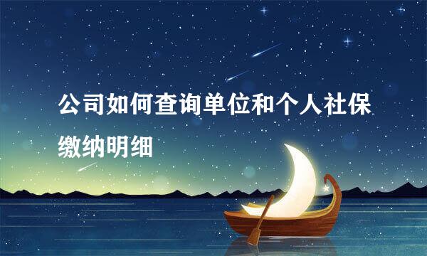 公司如何查询单位和个人社保缴纳明细