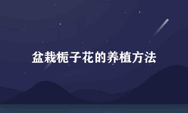 盆栽栀子花的养植方法