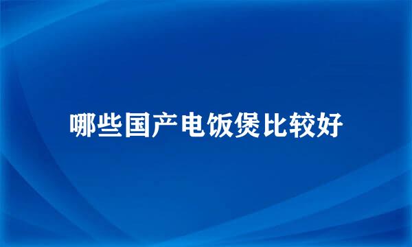 哪些国产电饭煲比较好