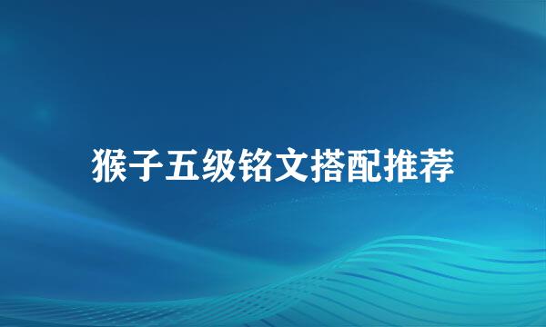 猴子五级铭文搭配推荐