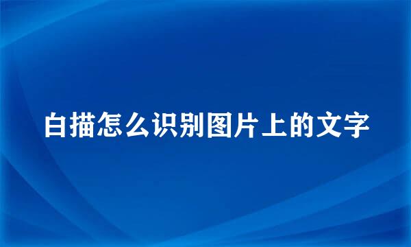 白描怎么识别图片上的文字